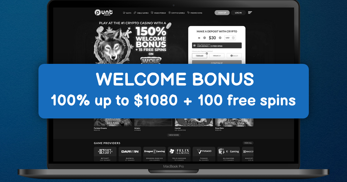 Punt Casino banner